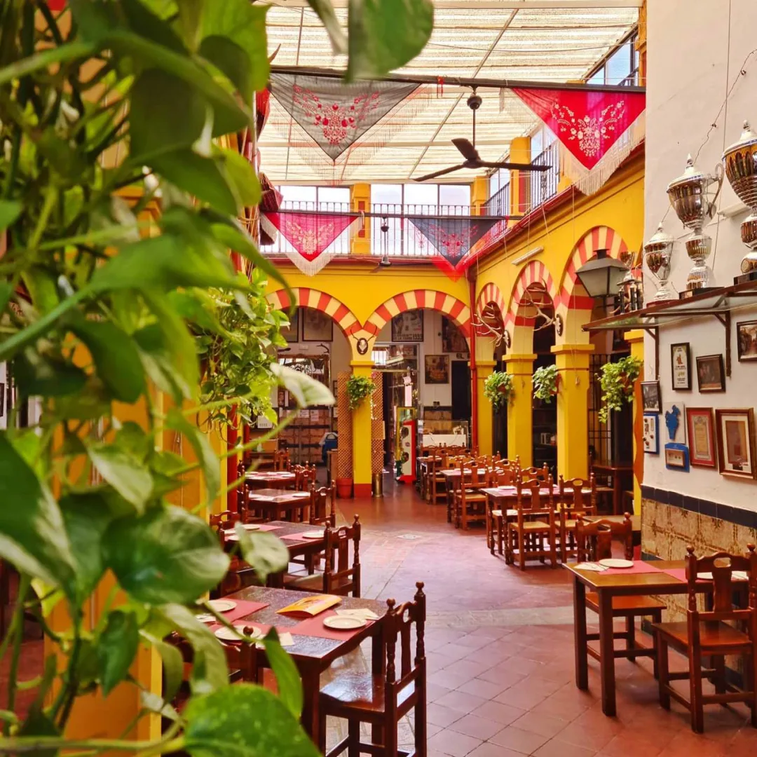A Córdoba patio